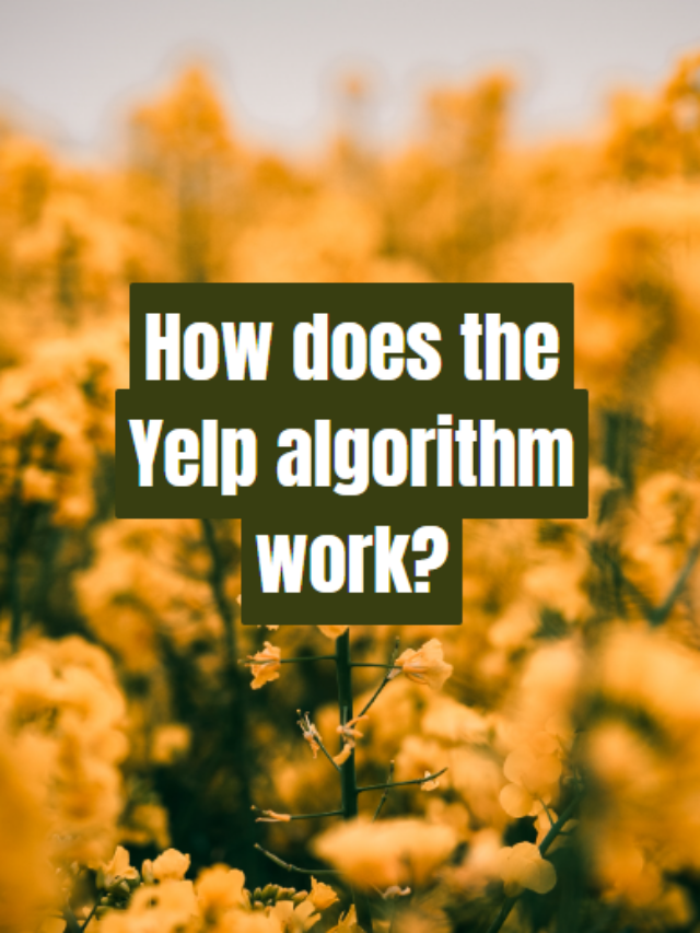 How does the Yelp algorithm work?