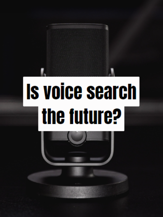 Is voice search the future?