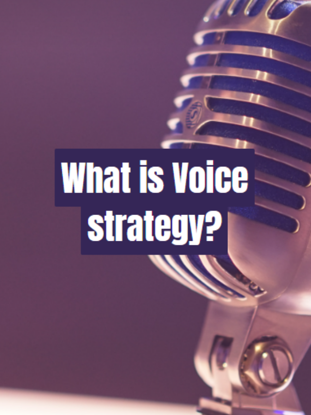 What is Voice strategy?
