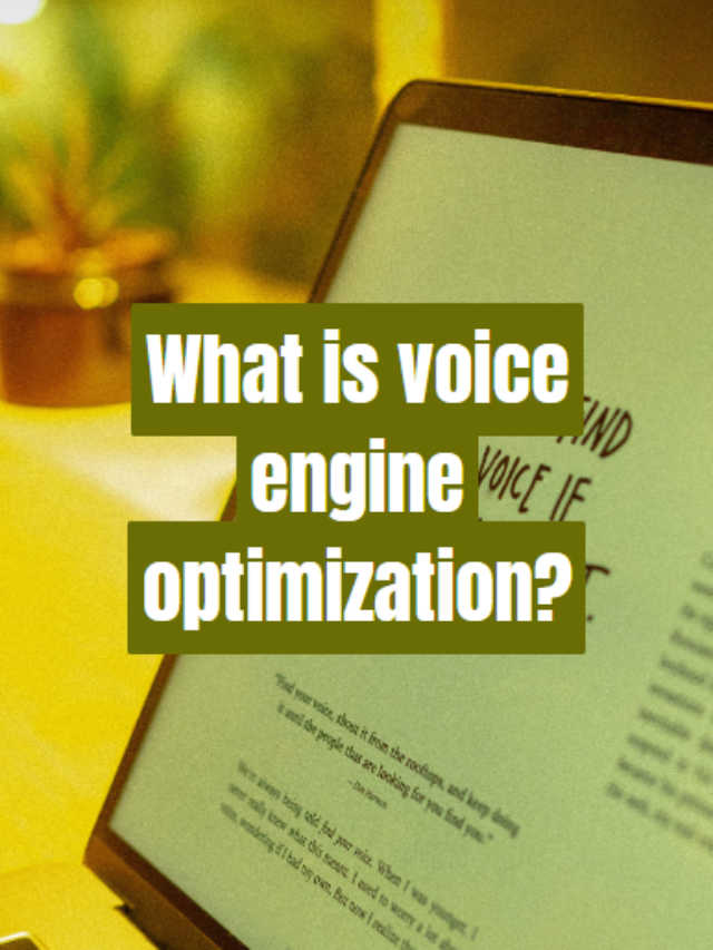 What is voice engine optimization?