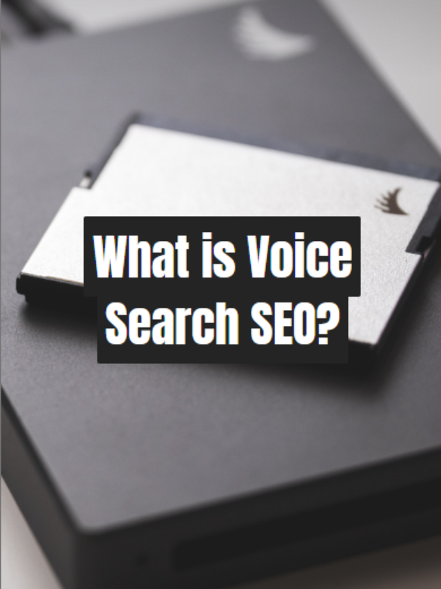 What is Voice Search SEO?